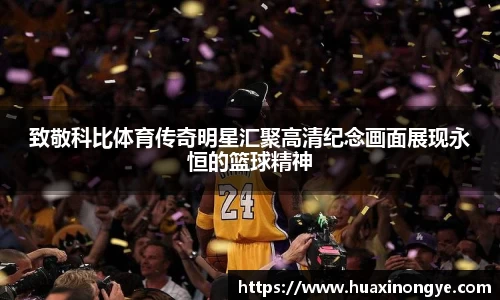 致敬科比体育传奇明星汇聚高清纪念画面展现永恒的篮球精神