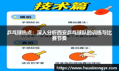 乒乓球热点：深入分析西安乒乓球队的训练与比赛节奏
