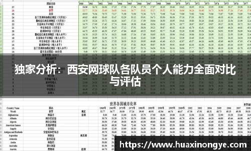 独家分析：西安网球队各队员个人能力全面对比与评估