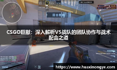 CSGO巨献：深入解析V5战队的团队协作与战术配合之道