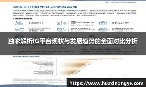 独家解析IG平台现状与发展趋势的全面对比分析