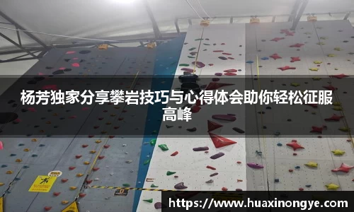 杨芳独家分享攀岩技巧与心得体会助你轻松征服高峰