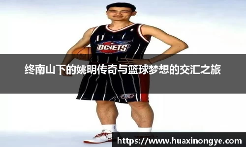 终南山下的姚明传奇与篮球梦想的交汇之旅