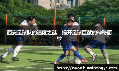 中欧体育(zoty)·中国官方网站