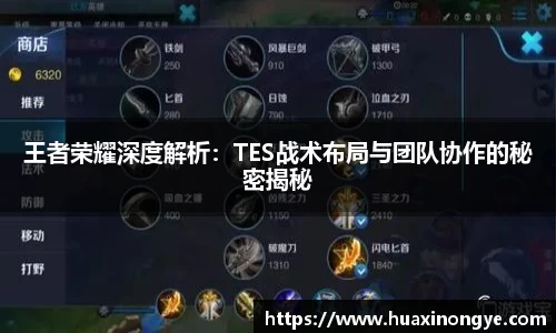 王者荣耀深度解析：TES战术布局与团队协作的秘密揭秘