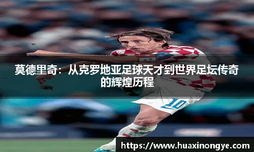 中欧体育官方入口