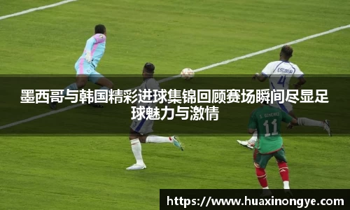 中欧体育官方入口