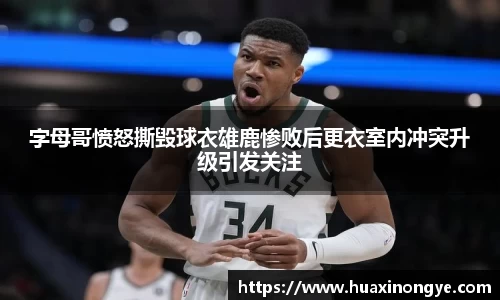 中欧体育(zoty)·中国官方网站