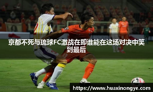 中欧体育官方入口
