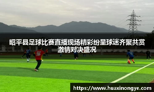 hb火博·体育